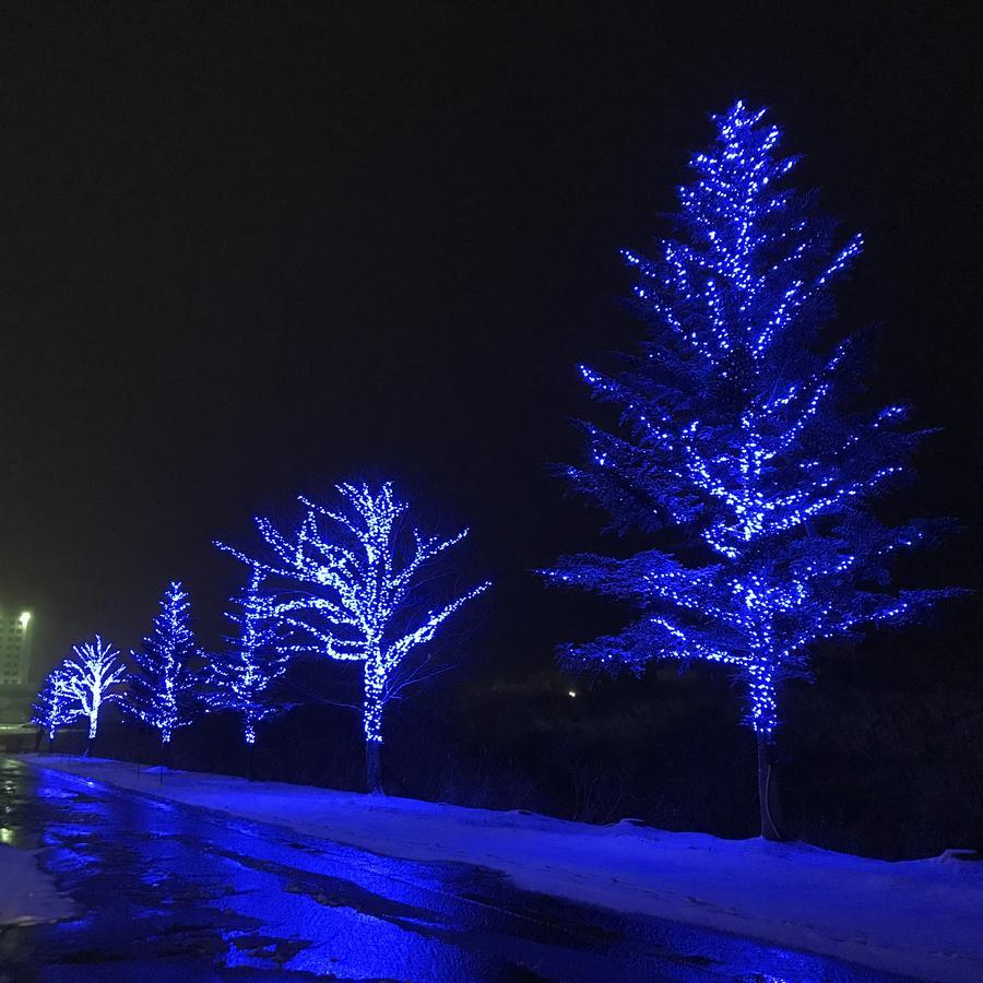 Naeba La Neige Hotell Yuzawa  Eksteriør bilde
